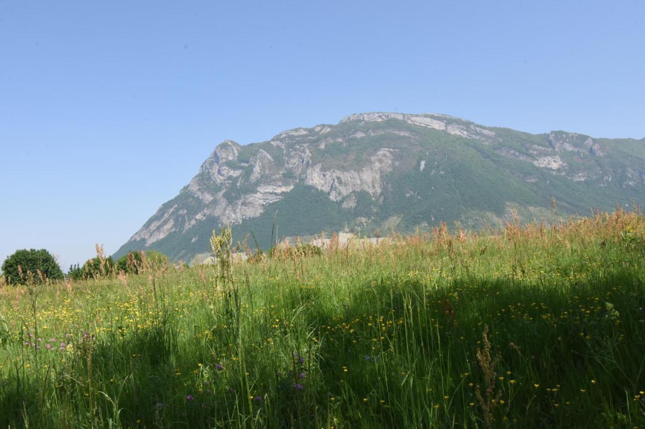 Gite Clair, Spacieux Et Cosy Avec Vue Sur Le Massif De La Chartreuse Sainte-Helene-du-Lac Экстерьер фото